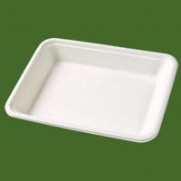 American type sugatcane tray