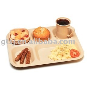 Biodegradable disposable sugarcane compartment food tray