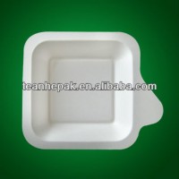 biodegradable tray