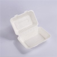 Eco-friendly 9"*6" compostable Clamshell box sugarcane food container